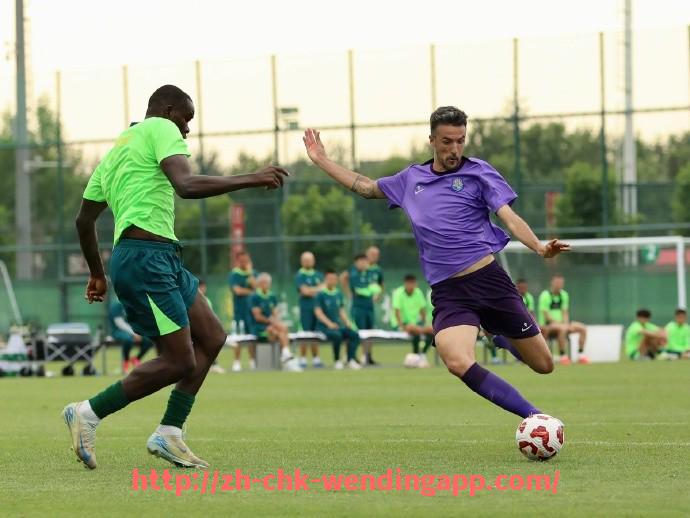 问鼎娱乐官网-世俱杯主办城市环保监察制度的构建与实际成效