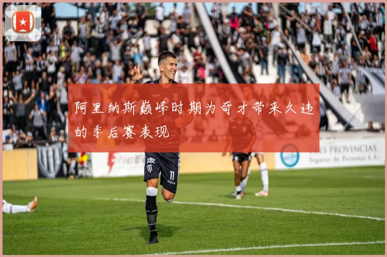 阿里纳斯巅峰时期为奇才带来久违的季后赛表现