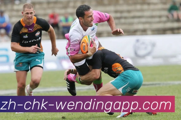 问鼎娱乐平台生态图