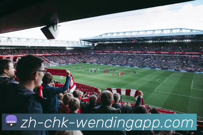 辅助工具 辅助工具